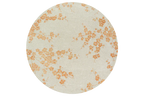 Petal Dew Rug