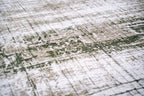 Central Green Rug